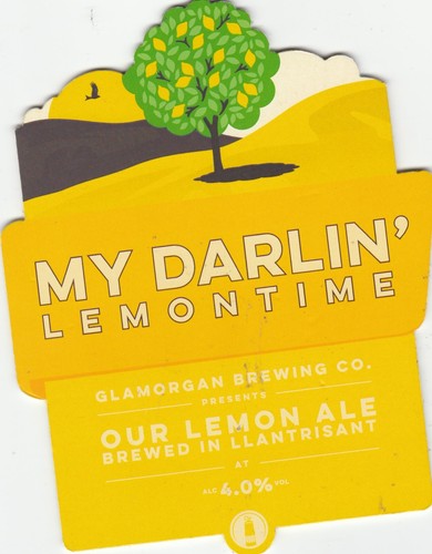 Used pump clip - used, front