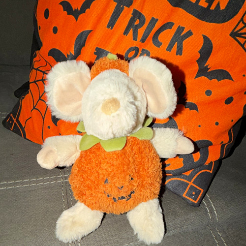 Costume zucca peluche topo